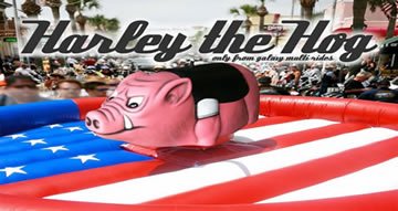 Harley the Hog