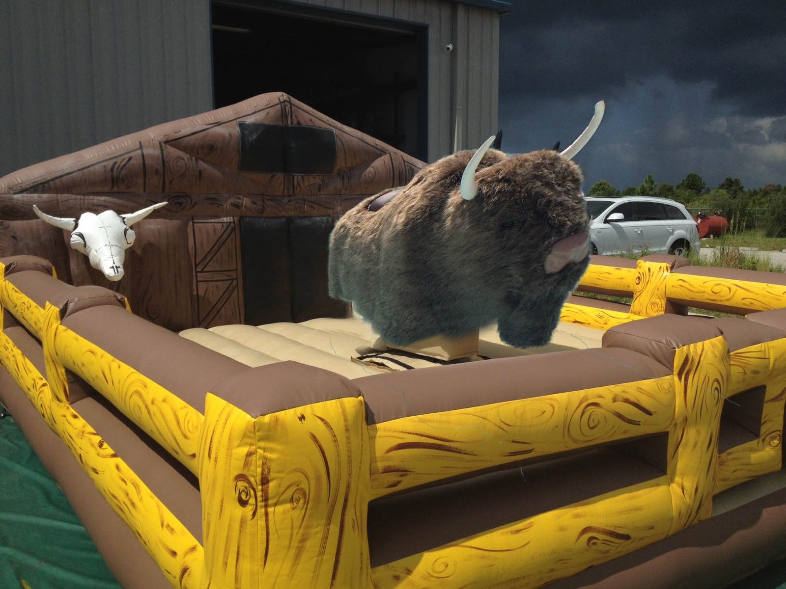 Mechanical Buffalo