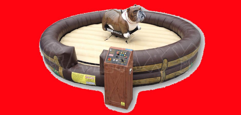 Humphrey the Bull Dog
