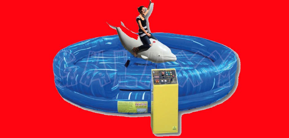 Flip the Rodeo Dolphin