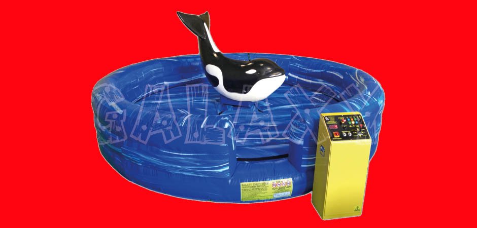 Wally the Killer Whale