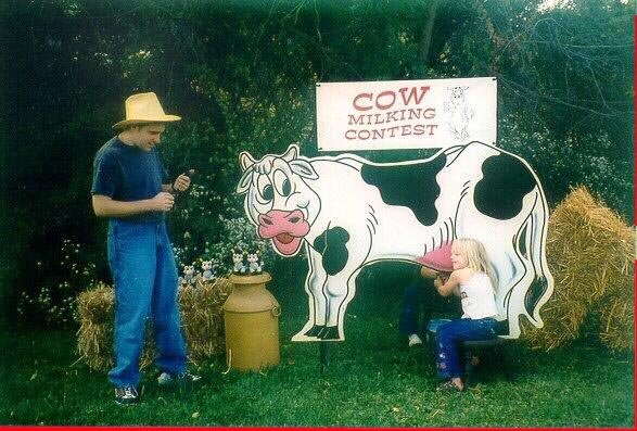 Cow Milking Contest