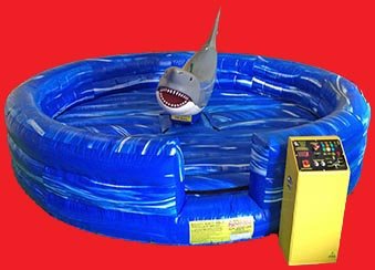Great White Shark Ride