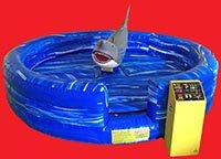 Great White Shark Ride — Round aquatic theme