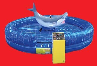 Hammerhead Shark
