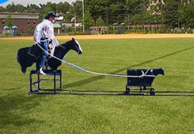 Calf Roping
